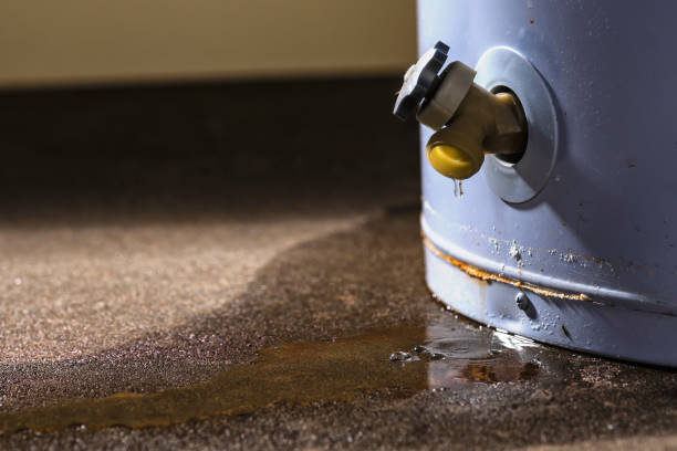 Best Water damage restoration near me  in Thomasboro, IL