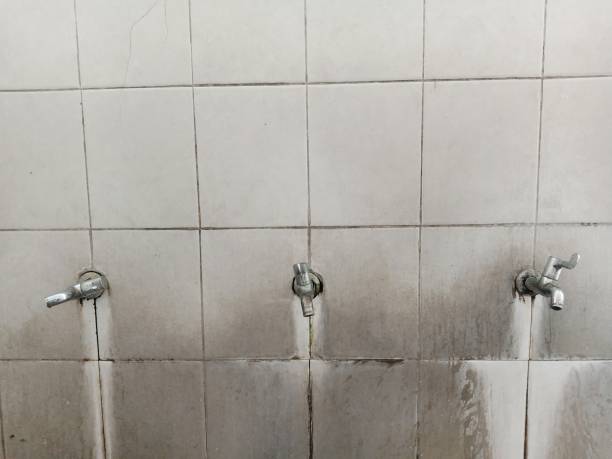 Best Professional water damage repair  in Thomasboro, IL
